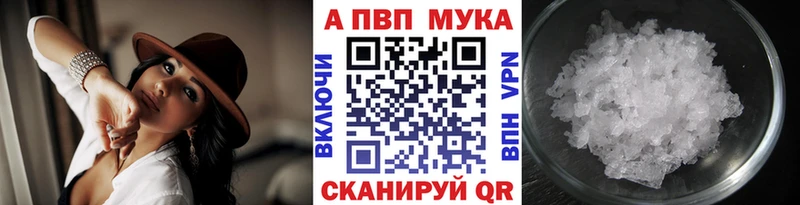 Альфа ПВП СК  Порхов 