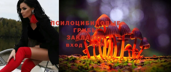 прущие крисы Алексеевка