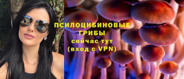 скорость Алзамай